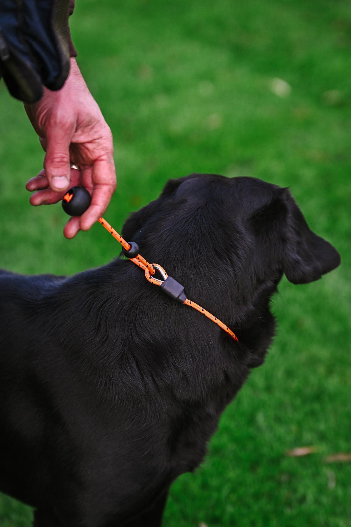 Heeling Lead & Slip Collars Thumbnail